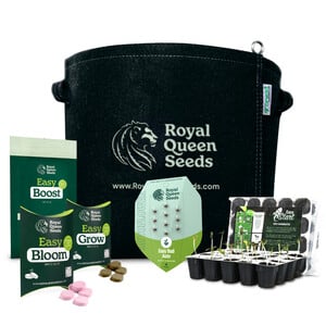 Cannabis Grow Kit for begyndere