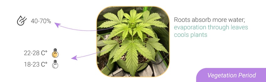 HUMIDITY LEVELS AND TEMPERATURES: FROM SEEDLING TO HARVEST HUMIDITY LEVELS AND TEMPERATURES: FROM SEEDLING TO HARVEST