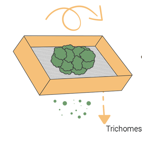 Sådan laver du hash derhjemme Sådan laver du hash derhjemme