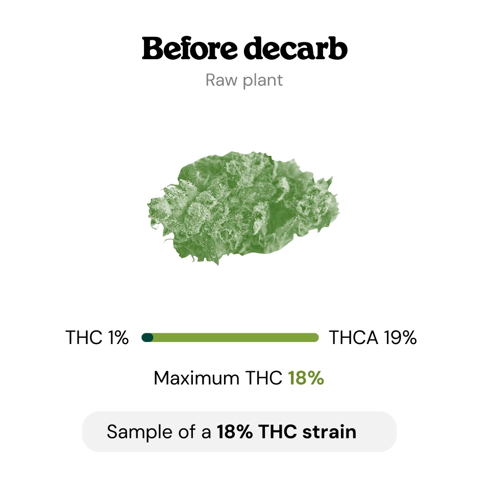 At What Temperature Does Decarboxylation Occur? At What Temperature Does Decarboxylation Occur?