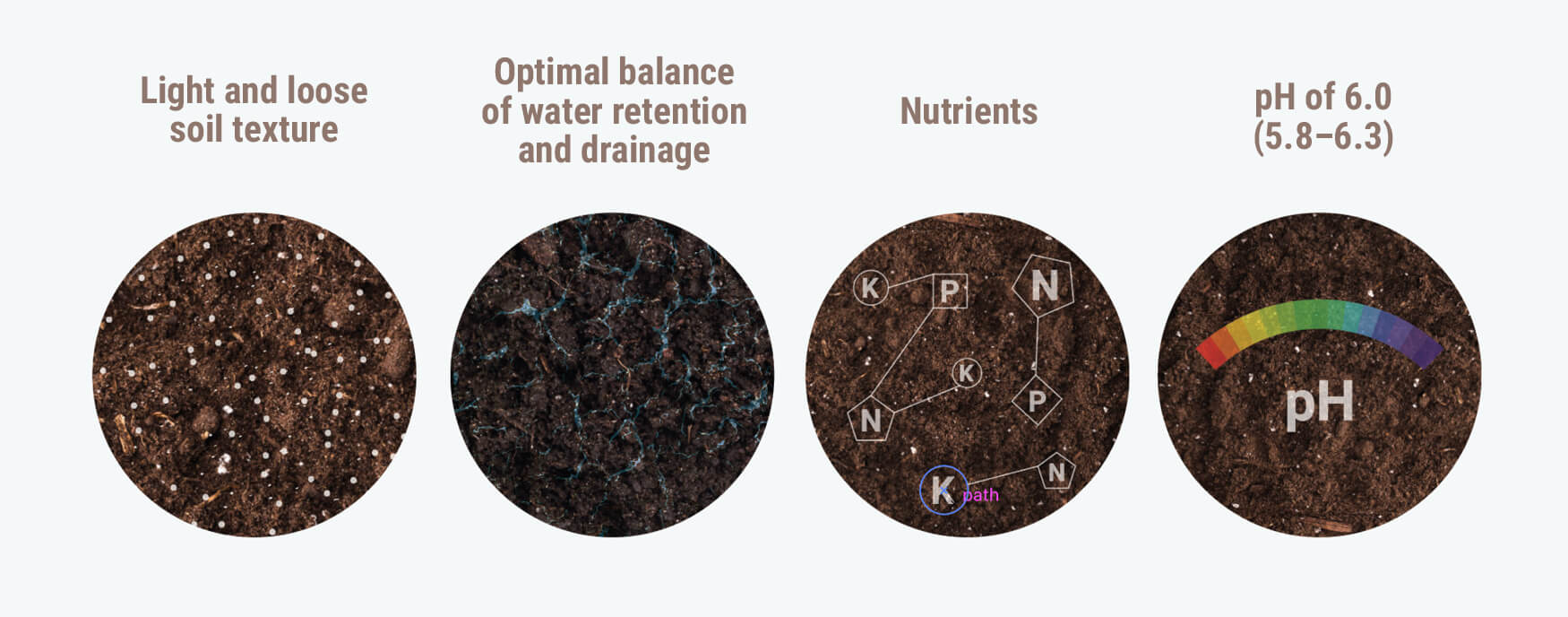 What’s The Best Soil For Growing Weed? What’s The Best Soil For Growing Weed?