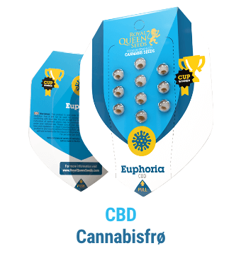 cbd-cannabis-seeds
