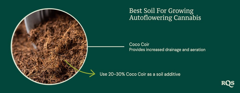 Coco coir for growing autoflowers Coco coir for growing autoflowers