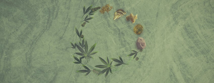 Den komplette guide til cannabiskoncentrater