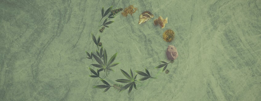 Den komplette guide til cannabiskoncentrater