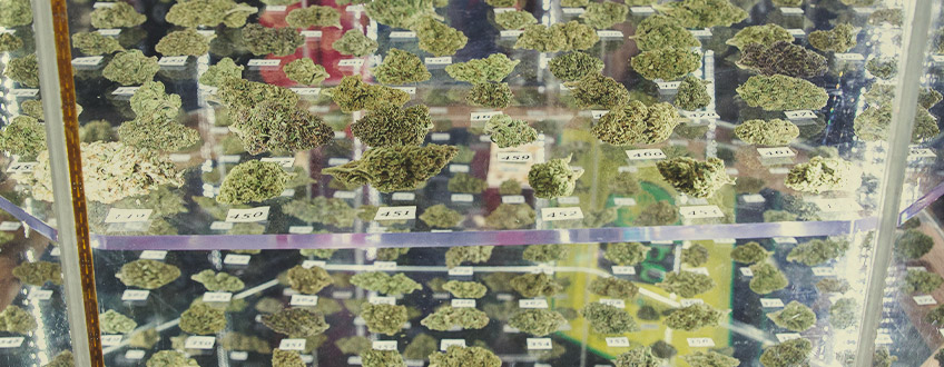 RQS vindere af Cannabis Cup