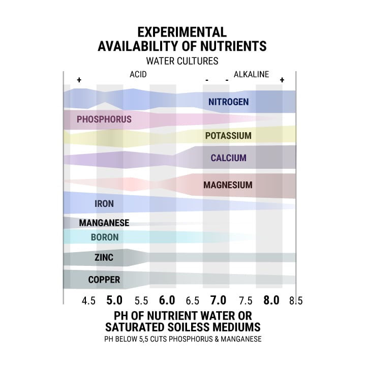 How PH Affects Plant Nutrient Uptake How PH Affects Plant Nutrient Uptake