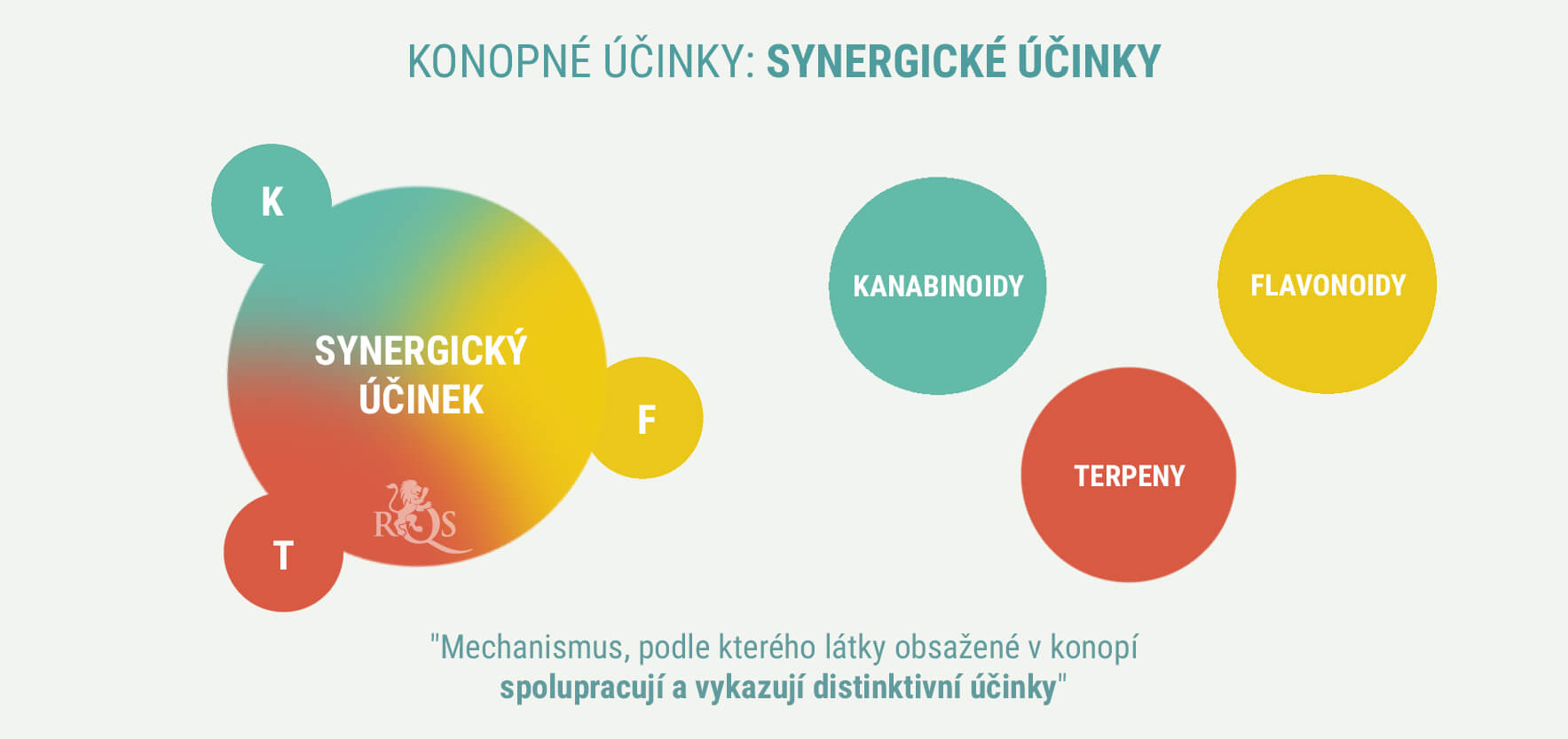 MAJÍ INDIKY A SATIVY ODLIŠNÉ ÚČINKY? MAJÍ INDIKY A SATIVY ODLIŠNÉ ÚČINKY?