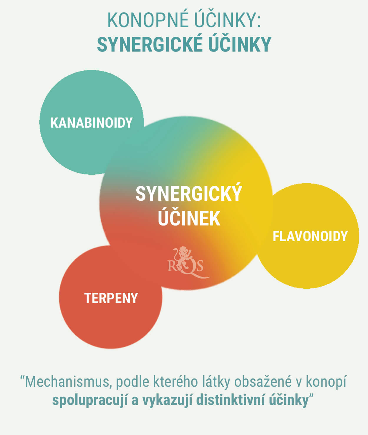 MAJÍ INDIKY A SATIVY ODLIŠNÉ ÚČINKY? MAJÍ INDIKY A SATIVY ODLIŠNÉ ÚČINKY?