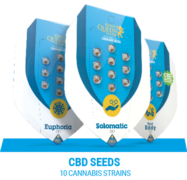 cbd-cannabis-seeds