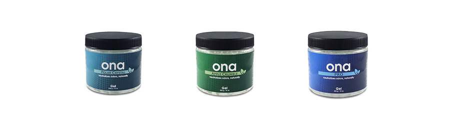 Ona For Masking The Smell Of Cannabis Ona For Masking The Smell Of Cannabis