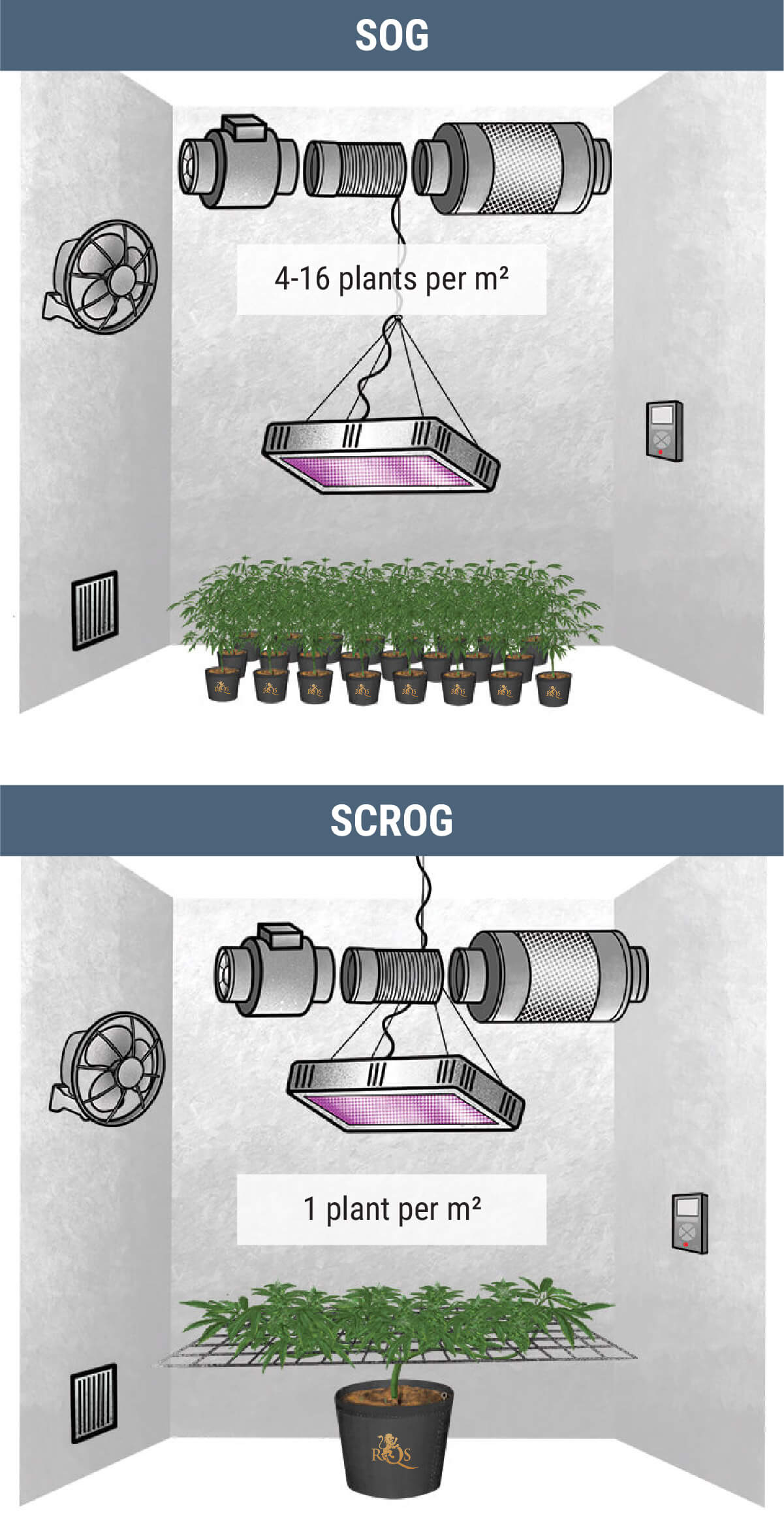 How Many Cannabis Plants Can You Grow Per Square Metre? How Many Cannabis Plants Can You Grow Per Square Metre?