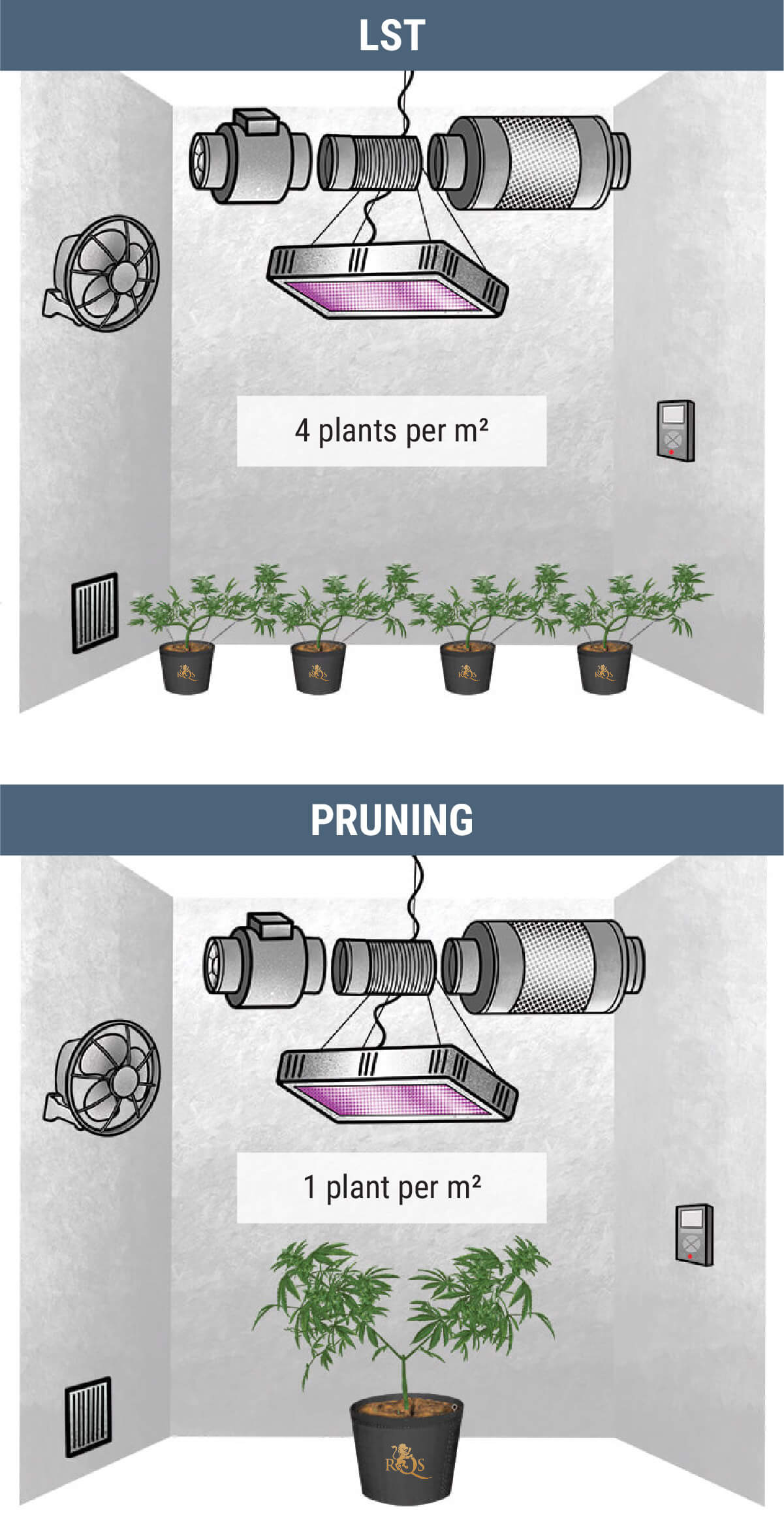 How Many Cannabis Plants Can You Grow Per Square Metre? How Many Cannabis Plants Can You Grow Per Square Metre?