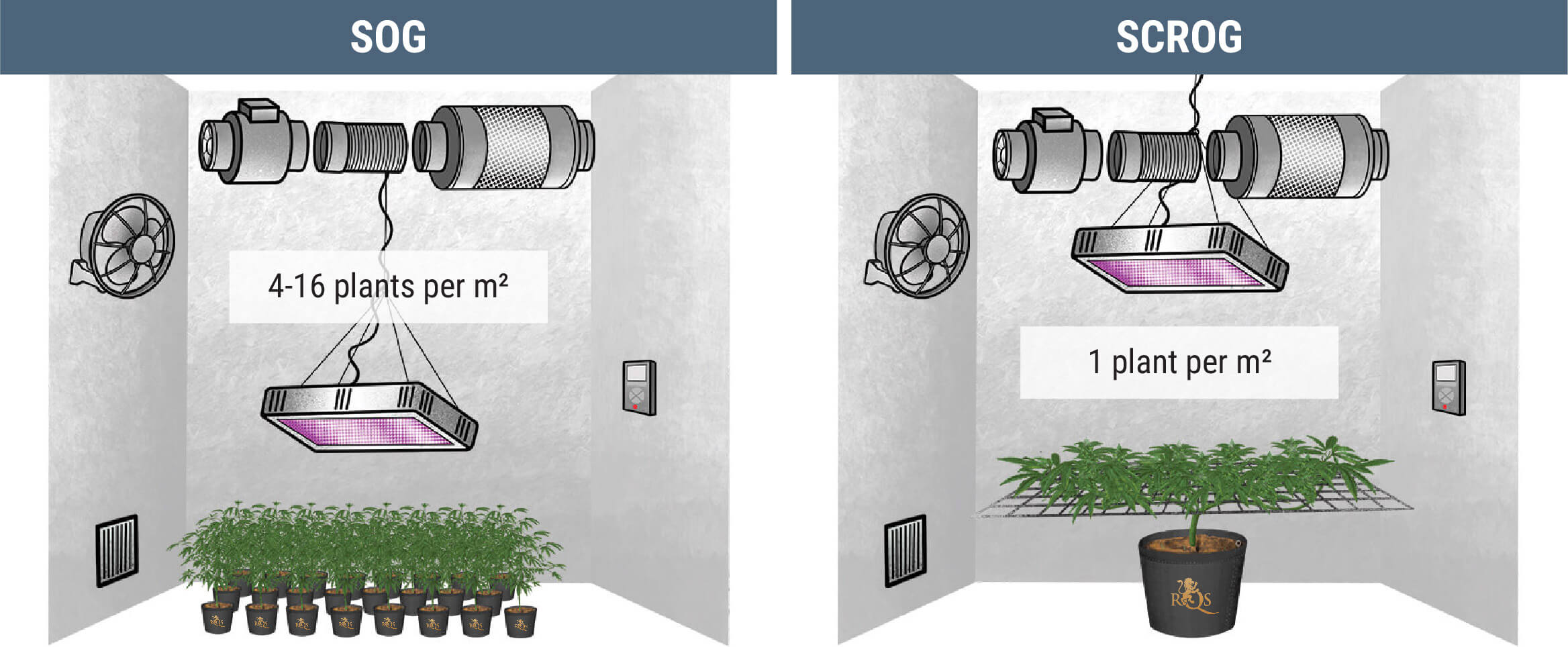 How Many Cannabis Plants Can You Grow Per Square Metre? How Many Cannabis Plants Can You Grow Per Square Metre?