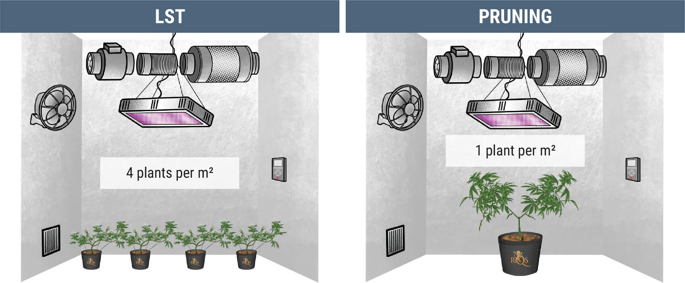 How Many Cannabis Plants Can You Grow Per Square Metre? How Many Cannabis Plants Can You Grow Per Square Metre?