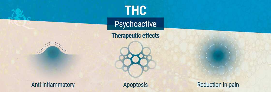 THC Therapeutic Effects