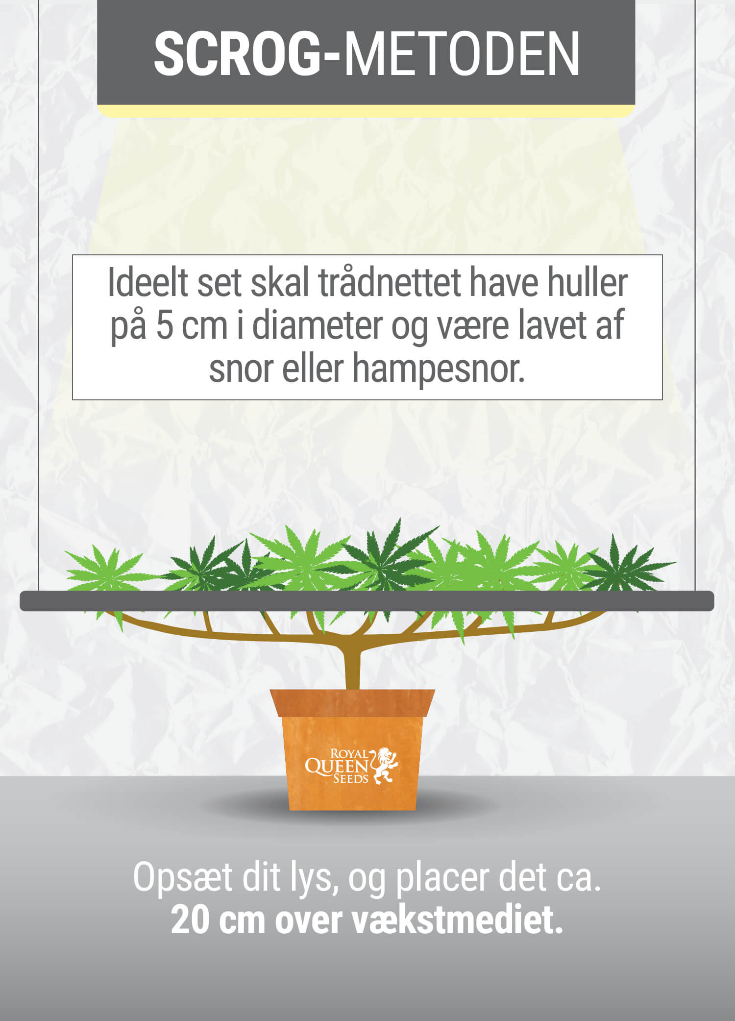 HVAD ER SCROG-METODEN? HVAD ER SCROG-METODEN?