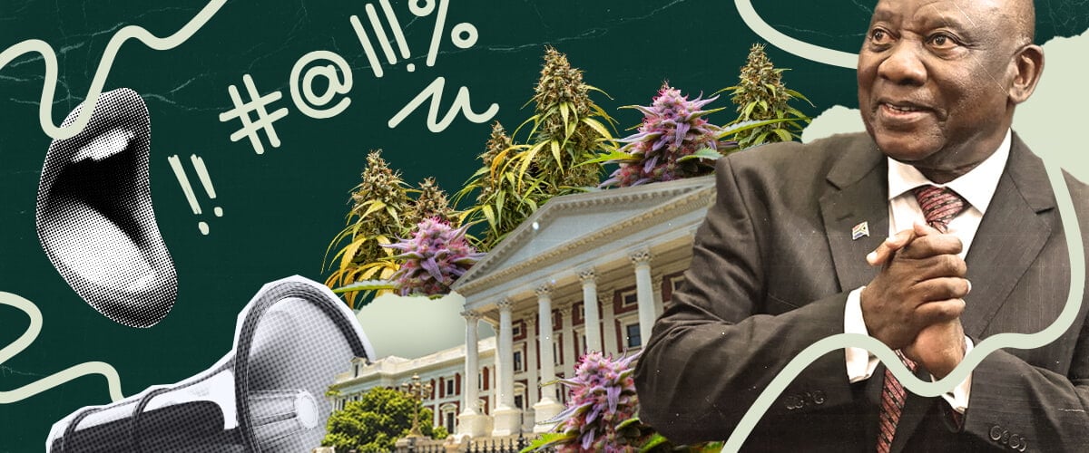 Sydafrika og legalisering af cannabis: Dette billede viser præsident Ramaphosa, parlamentet og marihuanaplanter, hvilket antyder den igangværende debat og potentiel legalisering af cannabis i Sydafrika.