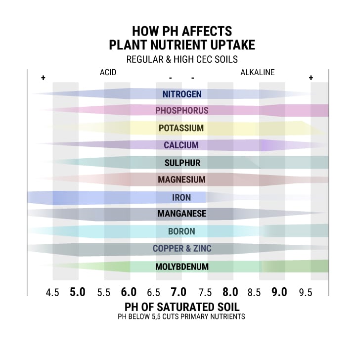 How PH Affects Plant Nutrient Uptake How PH Affects Plant Nutrient Uptake