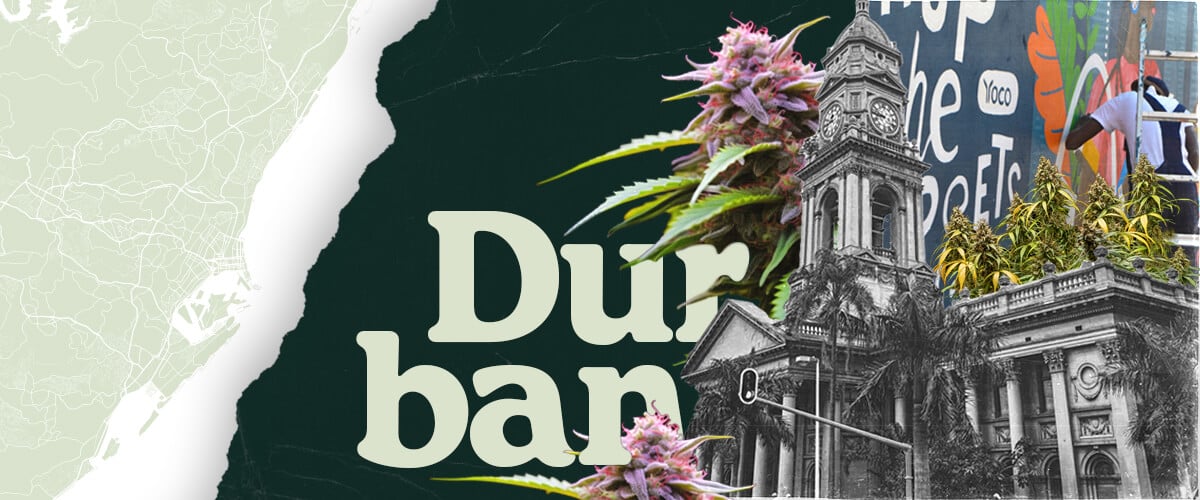 Royal Queen Seeds ankommer til Durban! Dette billede viser åbningen af deres sydafrikanske butik, der tilbyder førsteklasses cannabisfrø og dyrkningsartikler til lokale dyrkere.