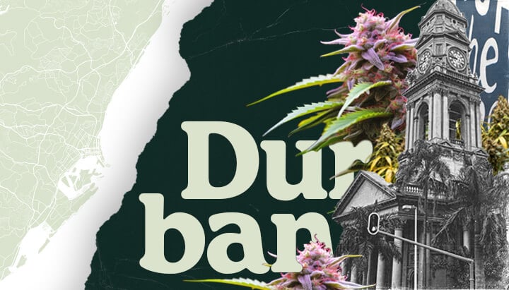 Royal Queen Seeds ankommer til Durban! Dette billede viser åbningen af deres sydafrikanske butik, der tilbyder førsteklasses cannabisfrø og dyrkningsartikler til lokale dyrkere.