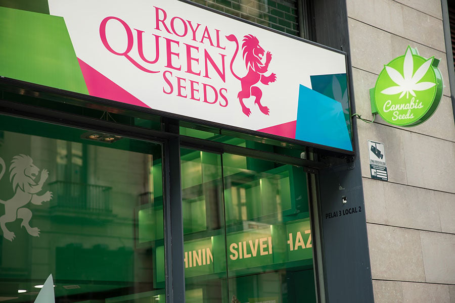 Besøg Royal Queen Seeds butikken i Barcelona