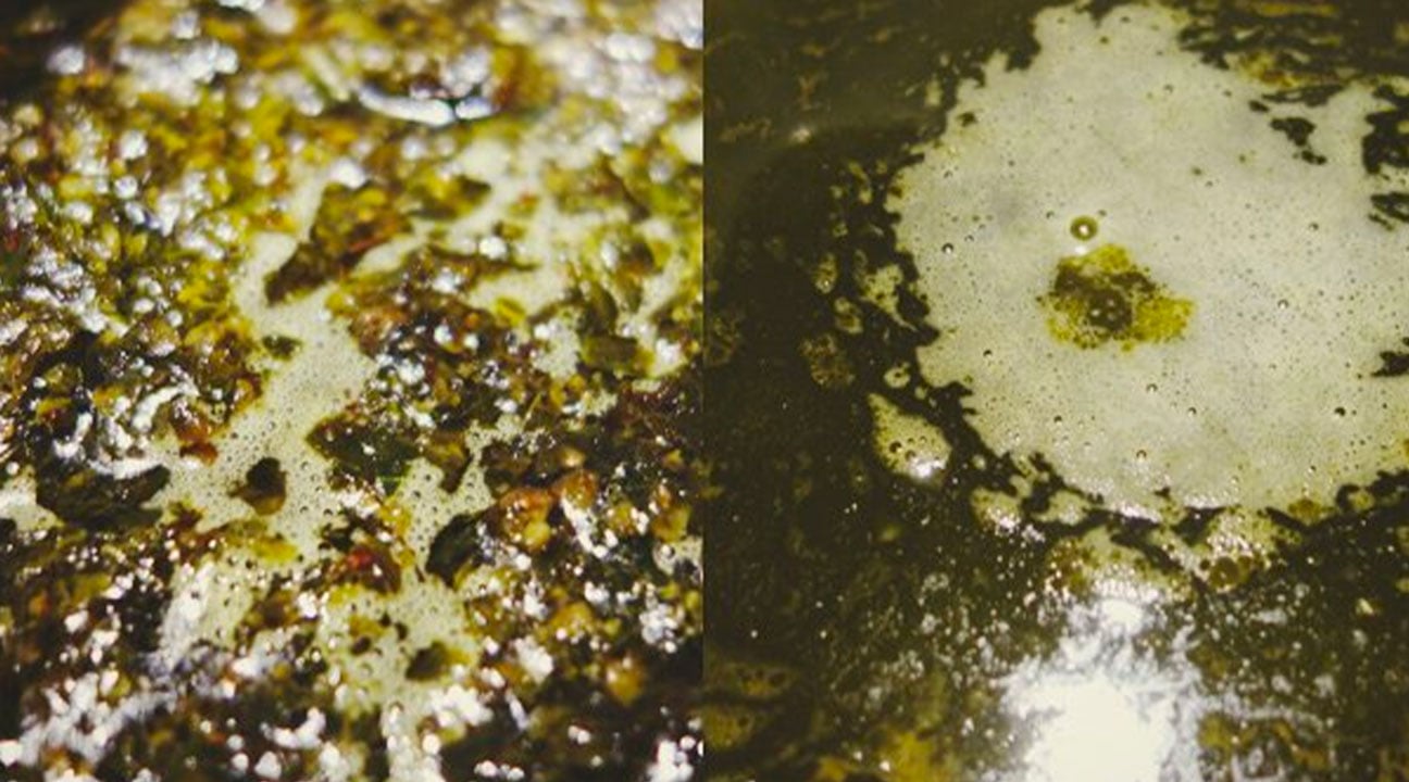 Small Bubbles Created in the Cooking of Cannabis and Butter