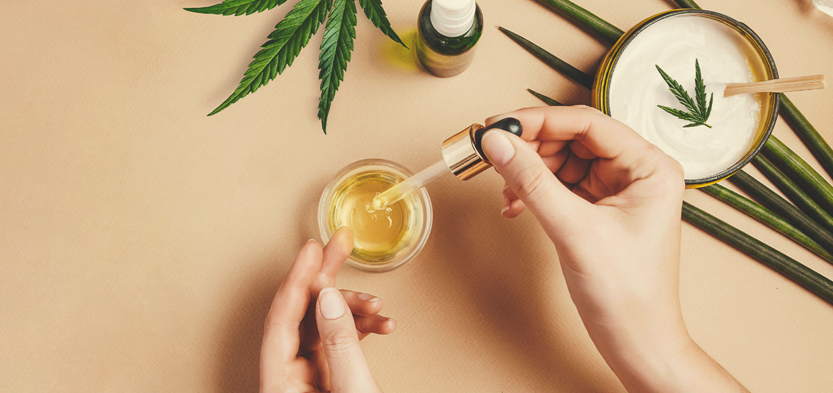 How To Make CBD Oil From Medical Cannabis Seeds How To Make CBD Oil From Medical Cannabis Seeds