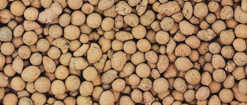 Clay pebbles Clay pebbles