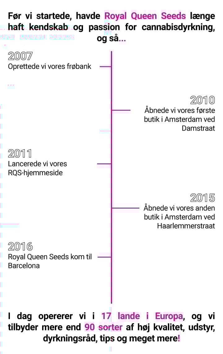 RQS Storyline RQS Storyline