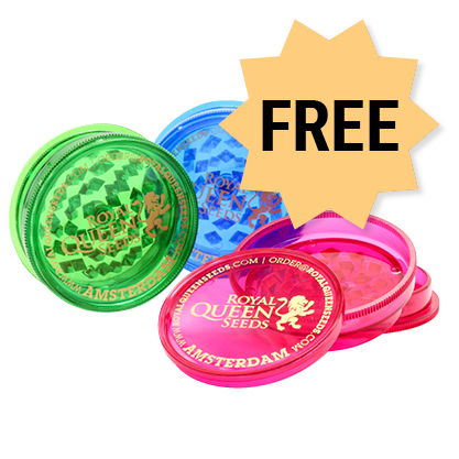 Free RQS Kværn with every cannabis seed order Free RQS Kværn with every cannabis seed order