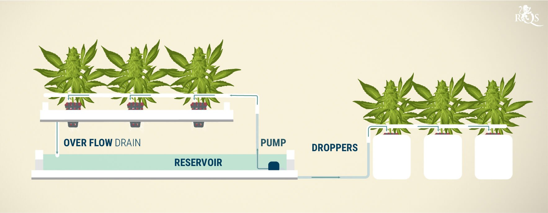 Drip System Drip System