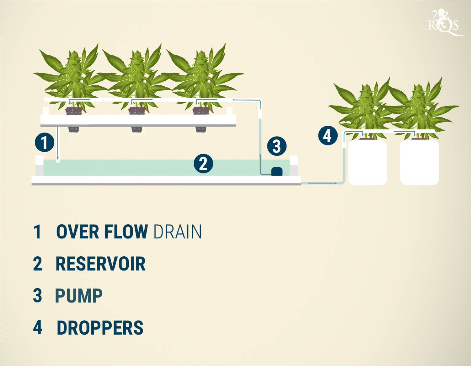 Drip System Drip System