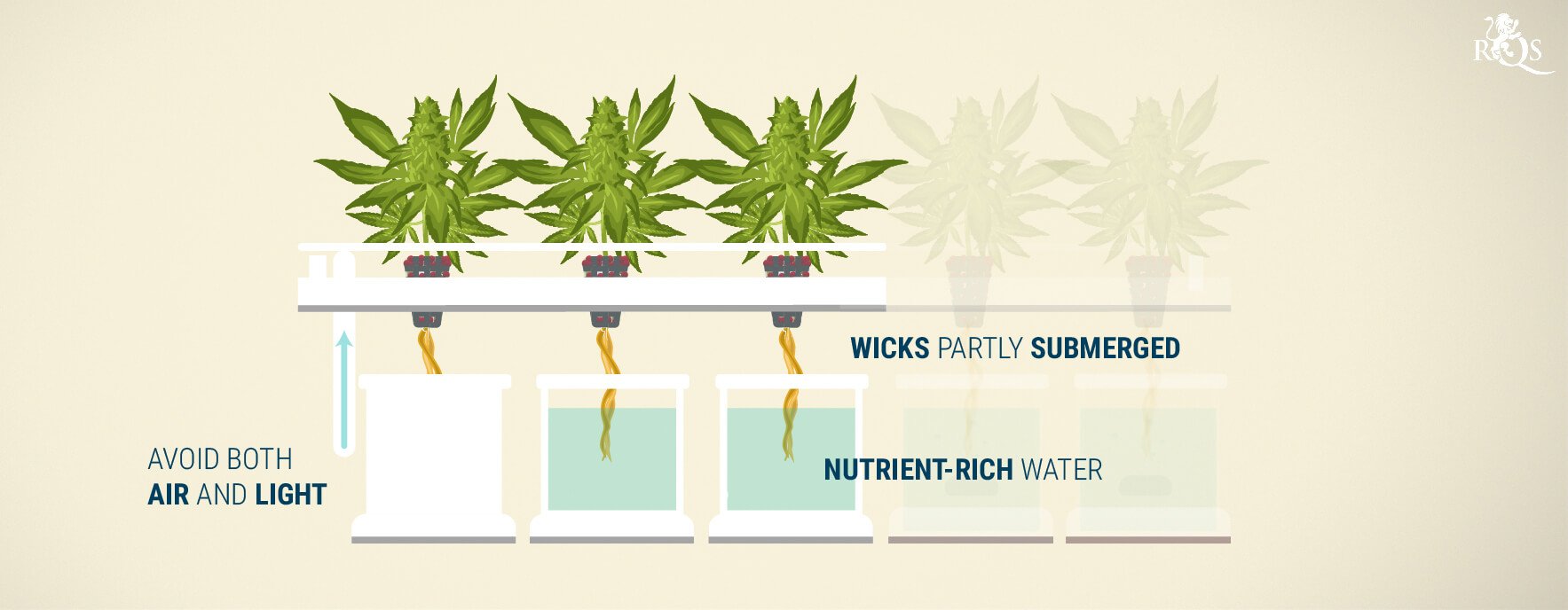 Wick System Wick System