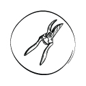 Pruning Scissors