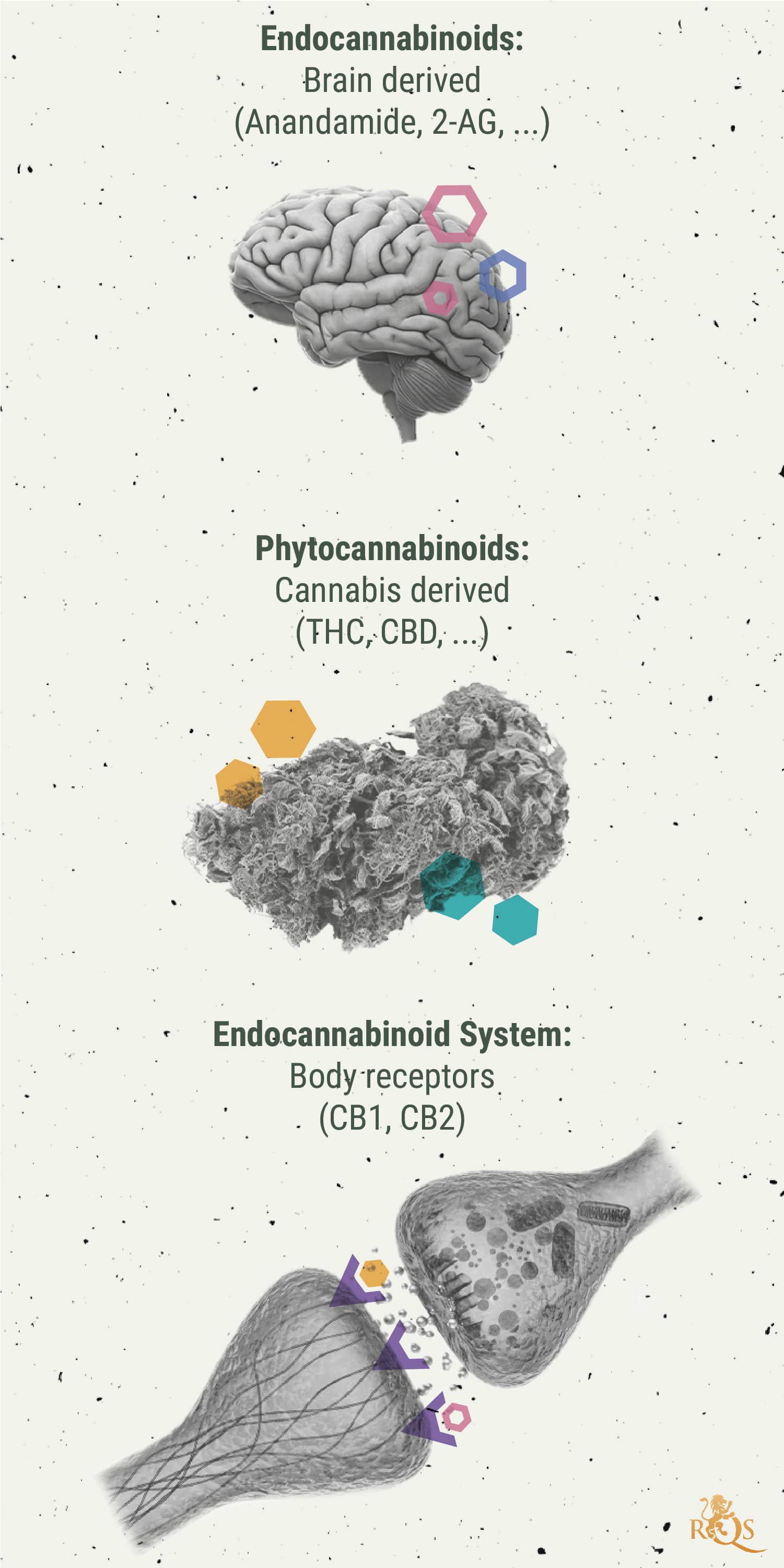 Kan cannabis hjælpe med at behandle migræne? Kan cannabis hjælpe med at behandle migræne?