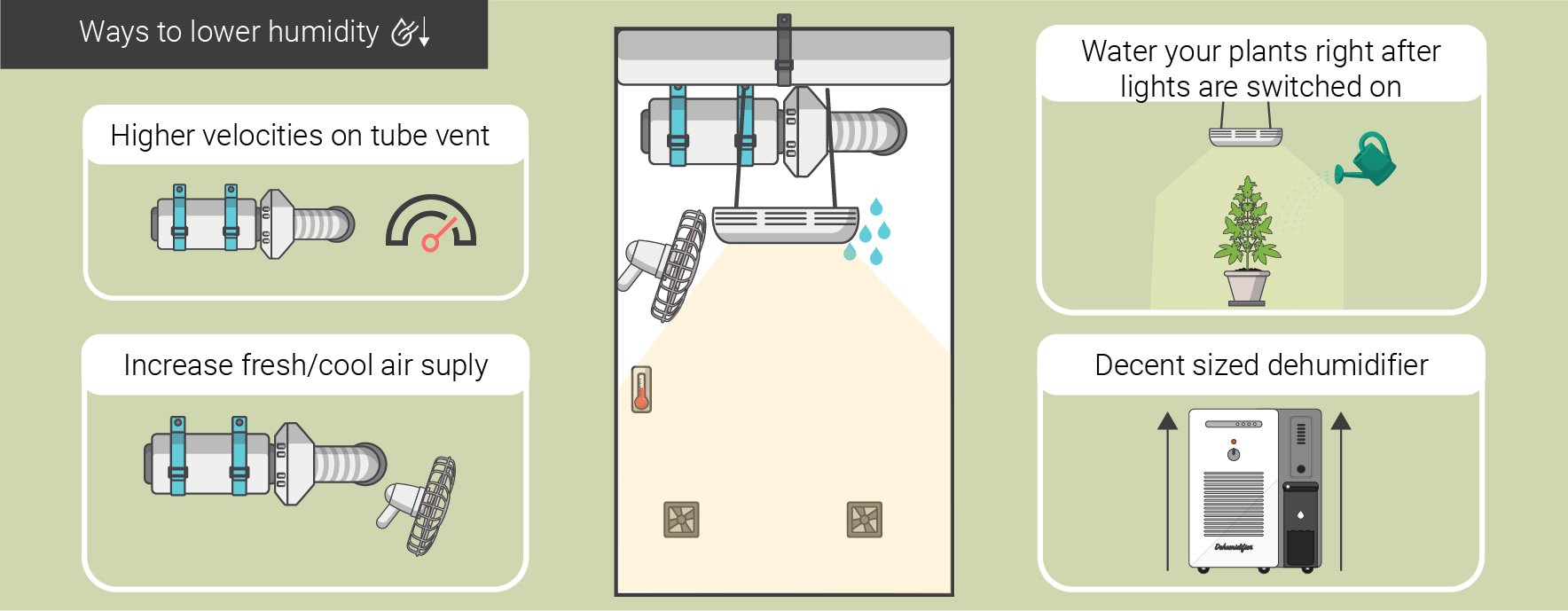 HUMIDITY LEVELS AND TEMPERATURES: FROM SEEDLING TO HARVEST HUMIDITY LEVELS AND TEMPERATURES: FROM SEEDLING TO HARVEST
