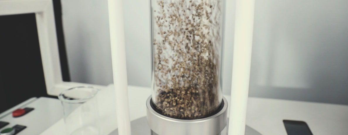 Royal Queen Seeds kvalitetskontrolproces: Trin for trin Royal Queen Seeds kvalitetskontrolproces: Trin for trin