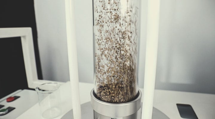 Royal Queen Seeds kvalitetskontrolproces: Trin for trin Royal Queen Seeds kvalitetskontrolproces: Trin for trin