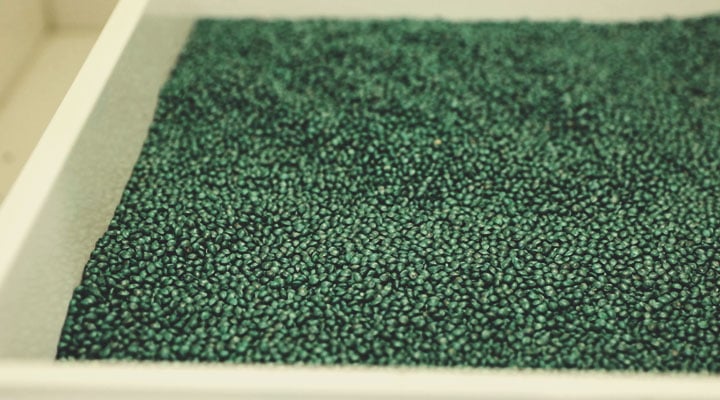 Royal Queen Seeds kvalitetskontrolproces: Trin for trin Royal Queen Seeds kvalitetskontrolproces: Trin for trin