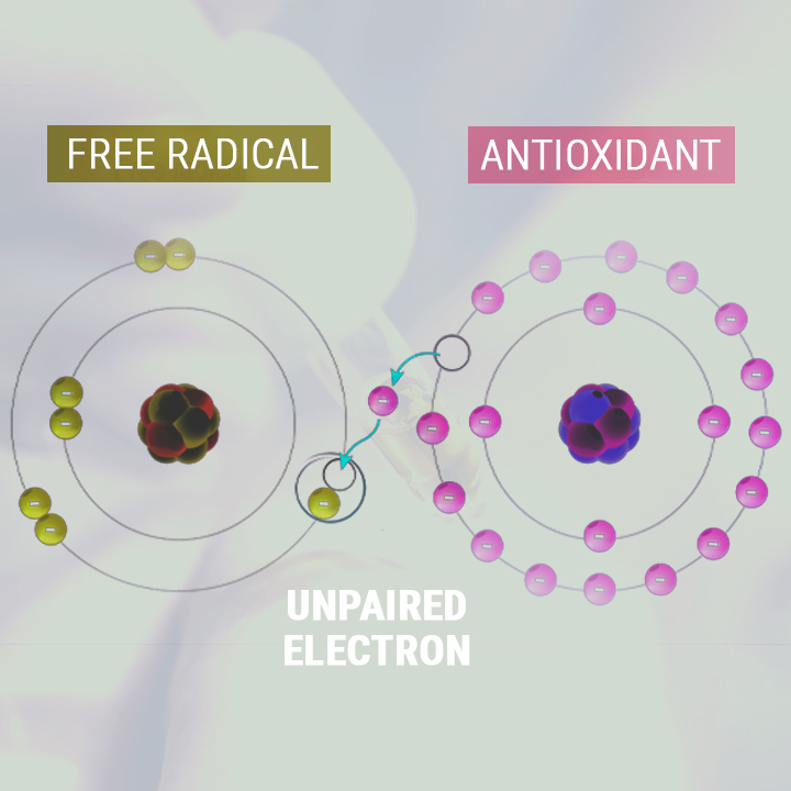 CBD Antioxidants CBD Antioxidants