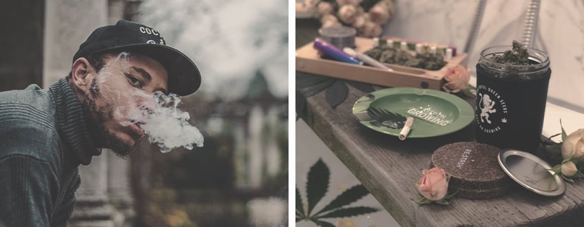 Prevent Your House from Smelling of Cannabis Prevent Your House from Smelling of Cannabis