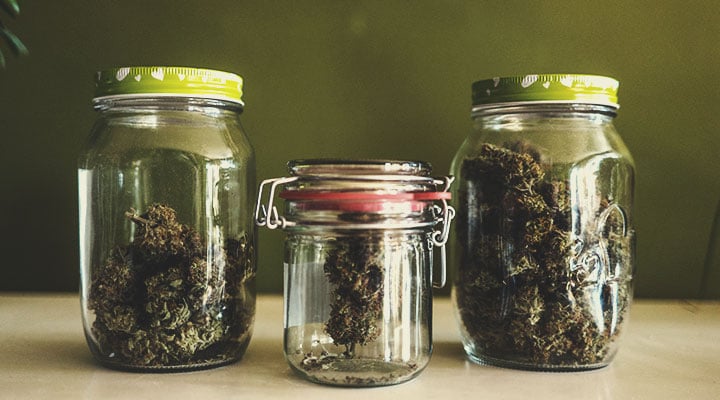FORDELENE VED AT BRUGE CBD OG THC SAMMEN FORDELENE VED AT BRUGE CBD OG THC SAMMEN