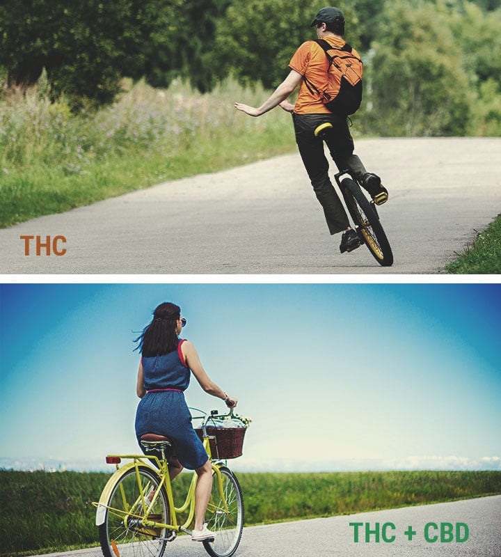 CBD vs THC CBD vs THC