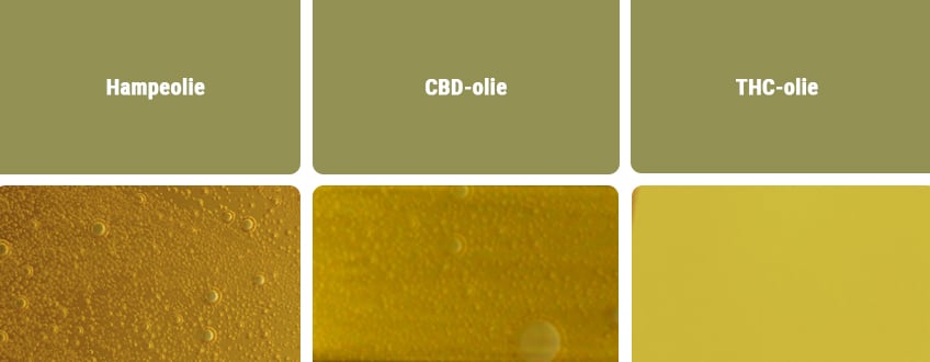 CBD-olier vs. andre olietyper