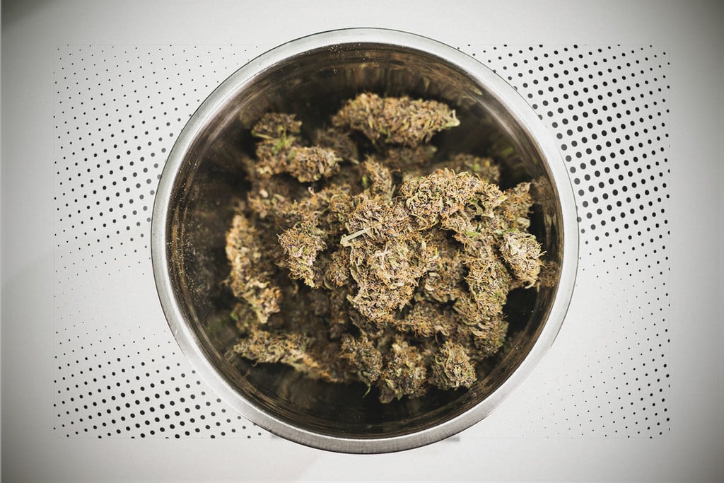 Er det bedst at høste din cannabis tidligt eller sent?