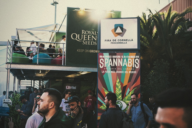 Spannabis 2019: Royal Queen Seeds vinder pris for bedste frøbank!
