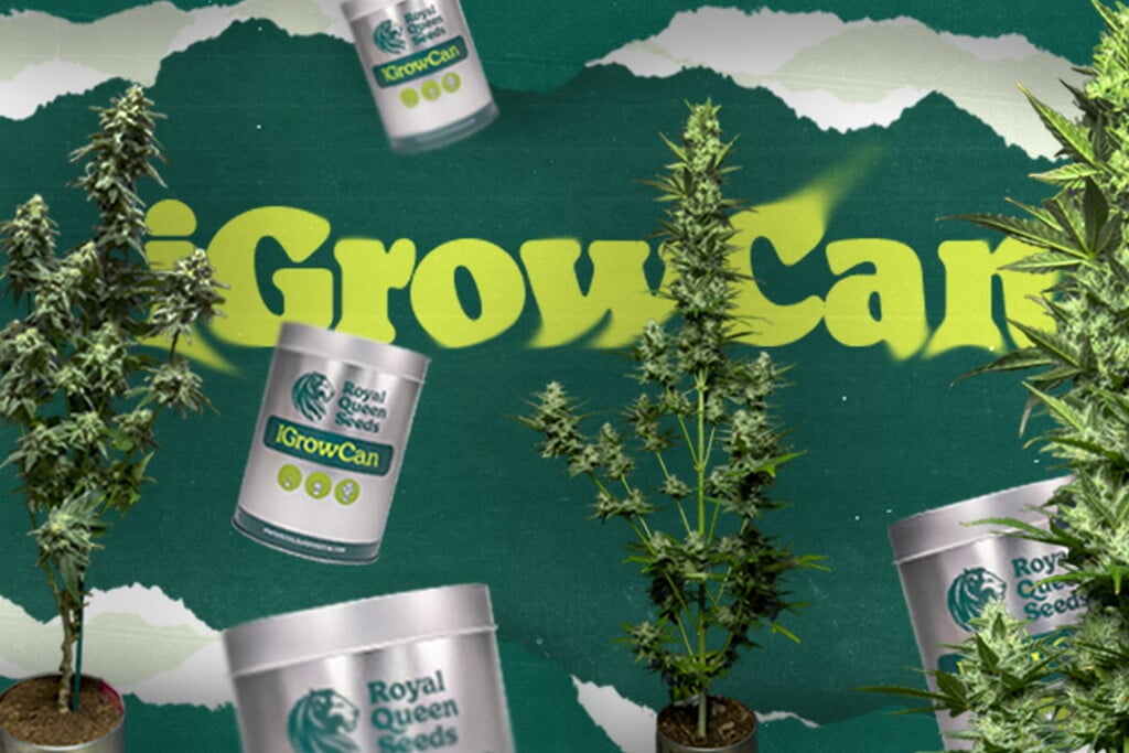 iGrowCan: Den nemmeste måde at dyrke din første cannabisplante på.