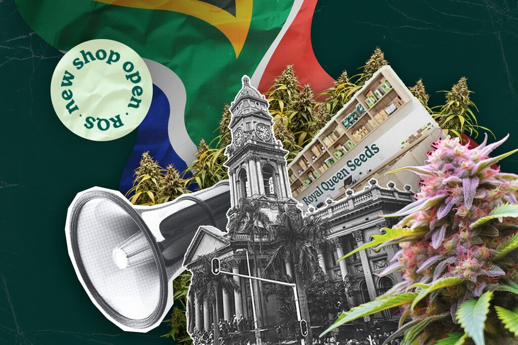 Royal Queen Seeds åbner første butik i Durban og bringer premium cannabisfrø til Sydafrika