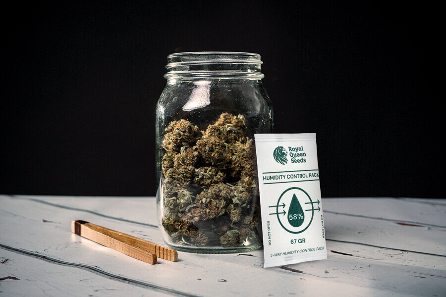 Sådan undgår du, at din cannabis mugner under tørring og hærdning